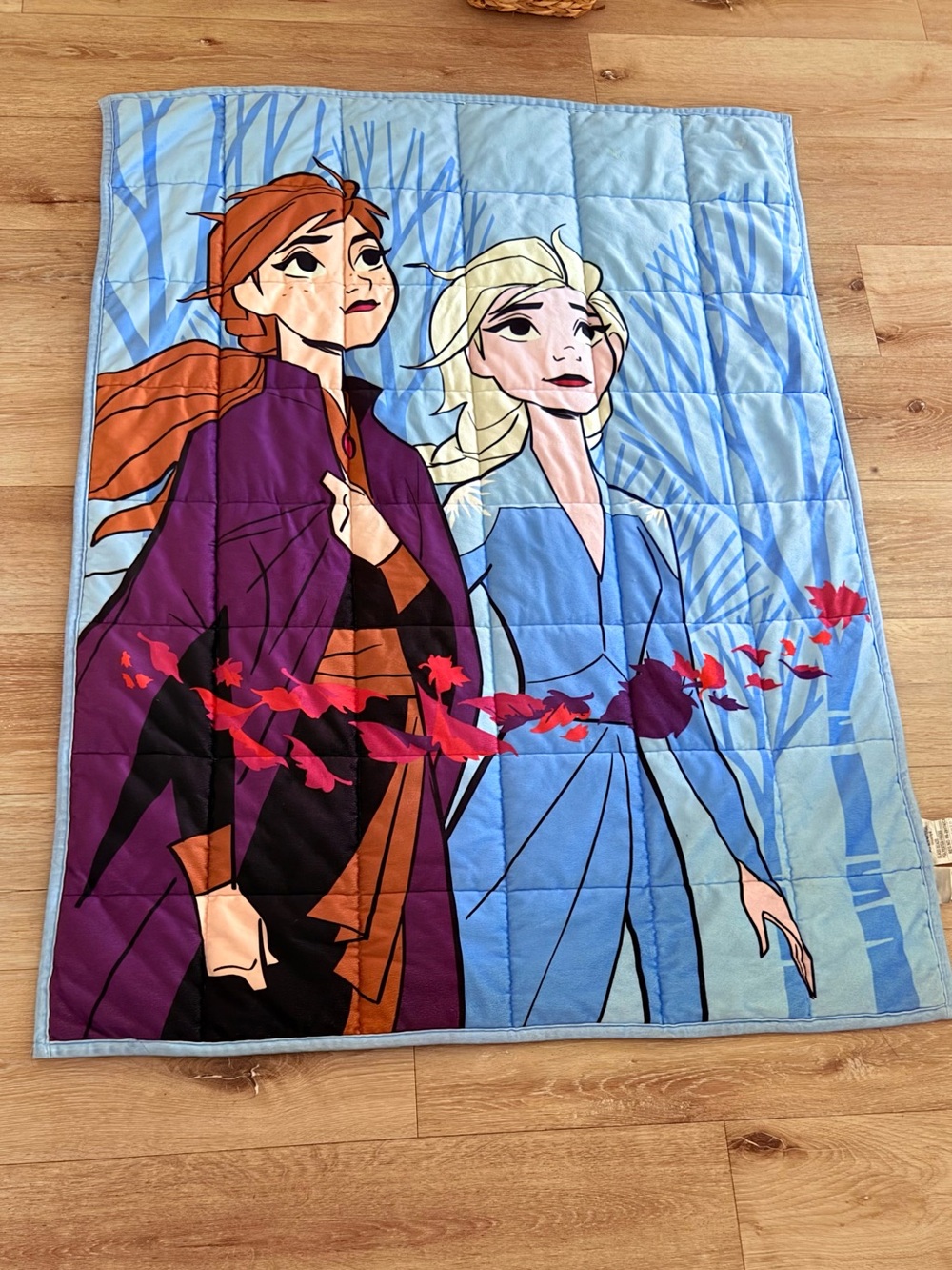 Disney Frozen Anna & Elsa Weighted  Blanket in Blue, Purple and Red Accents